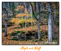 Maple and Bluff