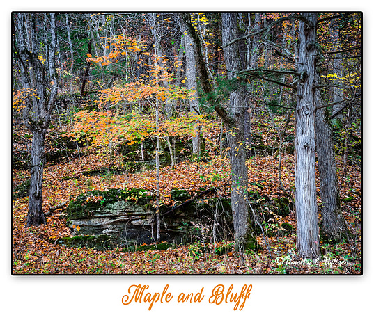 Maple and Bluff