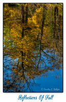Reflections of Fall