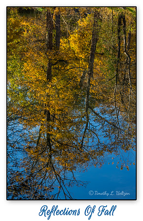 Reflections of Fall