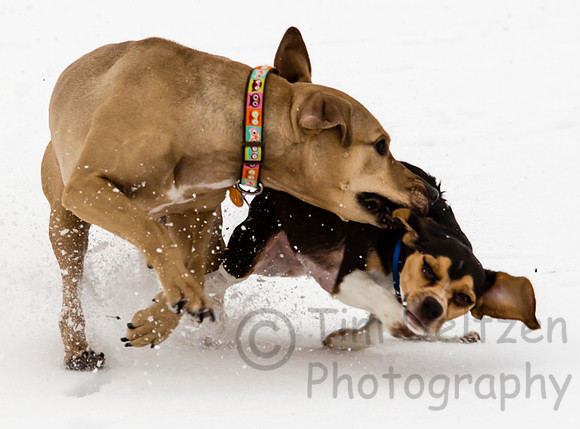 IMG_7173