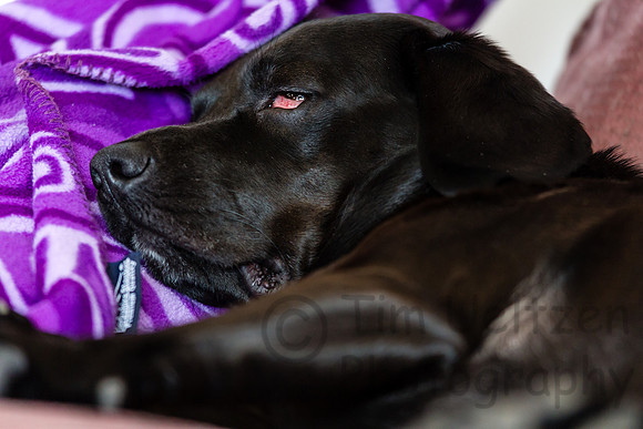 Nap time