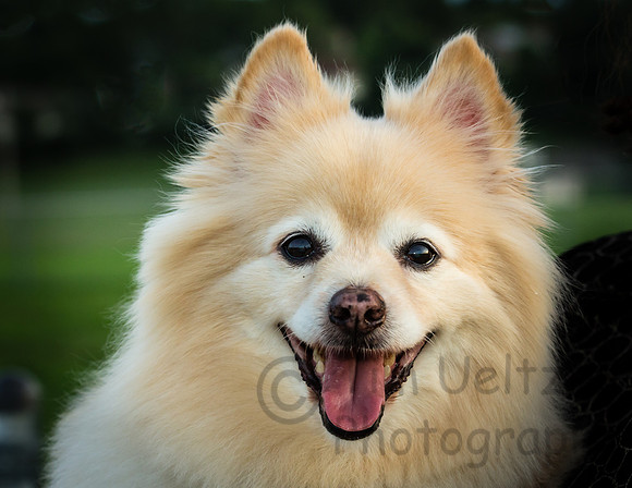 Cubby