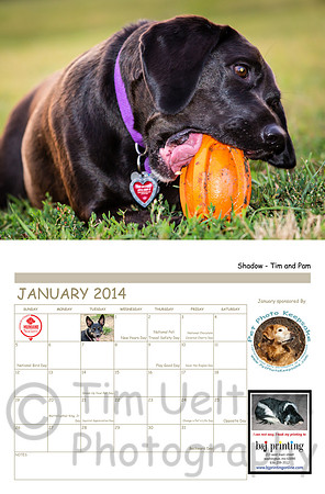 January