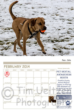 February