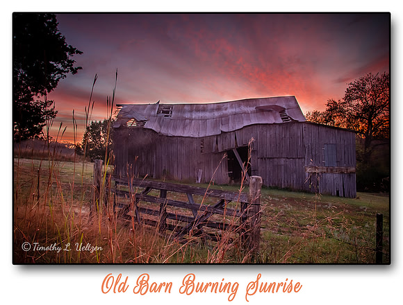 Week 47 - Landscape Abandoned