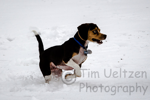 Tucker_7168